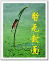 天价婚约苏沫免费全文