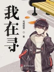 我在寻找那所谓的爱情的美好歌词是什么意思