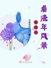 陪你去看流星雨歌名叫什么