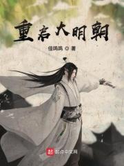 重启大明王朝197