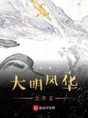 大明风华tv版和dvd版有什么区别