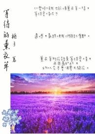 薰衣草还有多远