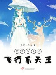 神奇宝贝最强飞行系精灵