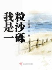 我是一粒沙子什么歌曲
