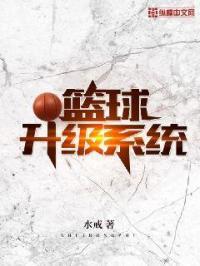 篮球升级系统全本免费阅读
