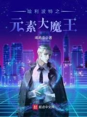 哈利波特之我是大魔法师