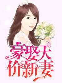 豪取天价新妻在线阅读