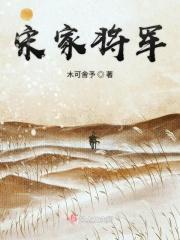 宋氏名将