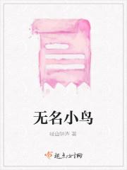无名鸟百度百科