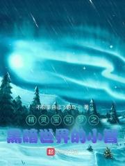 神奇宝贝之小智黑化