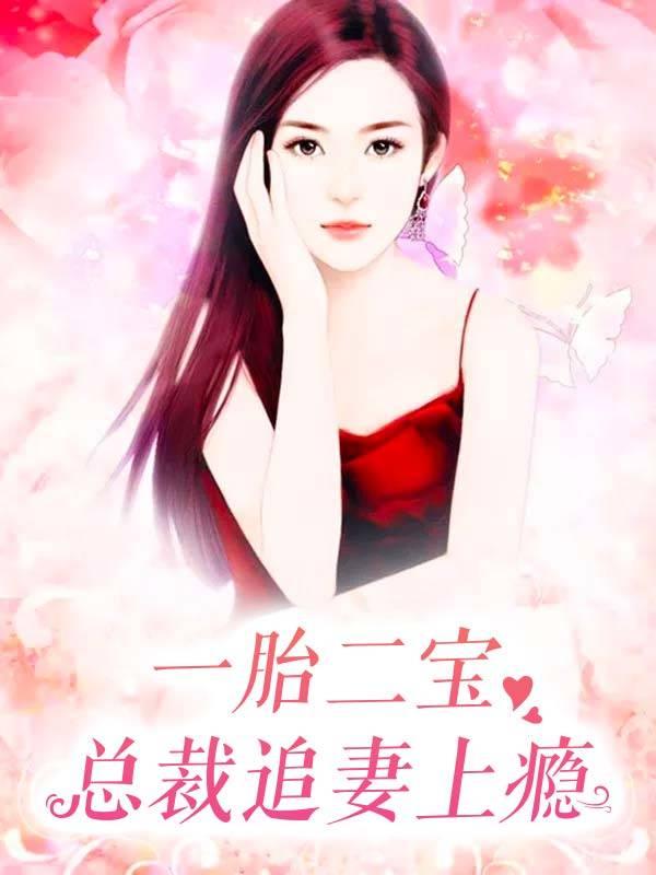 一胎二宝总裁追妻上瘾免费