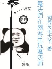 魔法师类的游戏