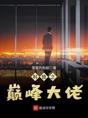 科技巅峰