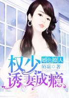 婚色撩人之权少宠成瘾