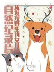 野生豹子图片大全