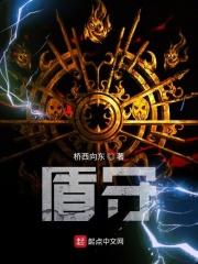 圣盾出场