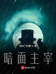 暗夜主宰叶言