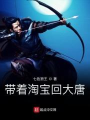 带着淘宝商城去大唐
