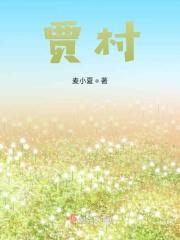 贾村新村户型图