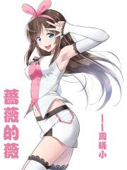 蔷薇的薇笔顺怎么写