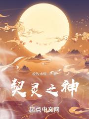 灵契什么