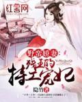 野蛮医妃