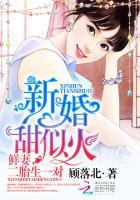 二胎 生一对完整版免费阅读