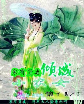 家有贤妻