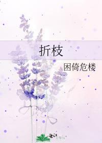 折枝在线全文免费阅读无弹窗