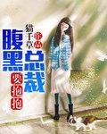 腹黑总裁要抱抱笑笑篇