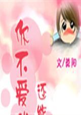 你不爱我谁会爱我这是什么歌词