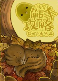 是他晋江