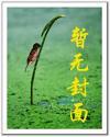 天帝至尊境界排名