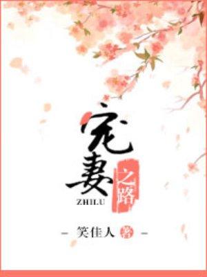 宠妻之路by笑佳人
