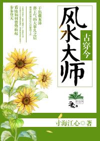 (古穿今)风水大师