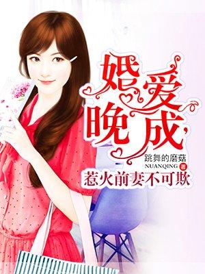 惹爱成婚前任