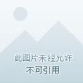 绝世凶兽凤凰骨完结版免费阅读