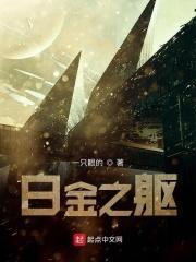 白金之星·超越天堂的能力
