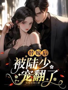 替嫁暖婚陆少宠又撩