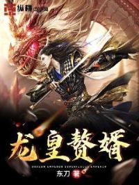 赘婿龙王殿百度百科