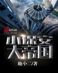 小保安的巅峰人生
