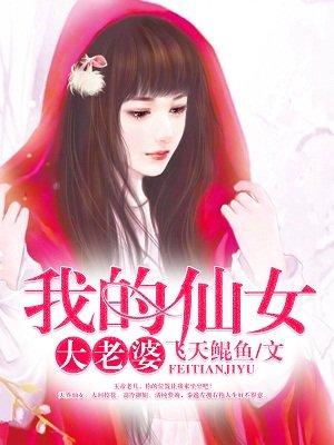 我的仙女老婆半成品txt