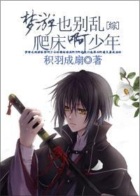 梦游少年txt