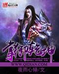 掌御乾坤1球杆怎么样
