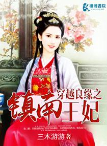 穿越良缘之镇南王妃三木游游