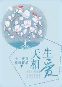 天生相爱全文阅读