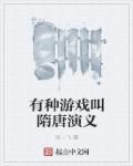 隋唐演义单机游戏攻略