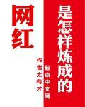 网红是怎样炼成的编剧