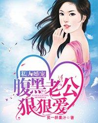腹黑老公专宠妻