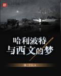 哈利波特文学